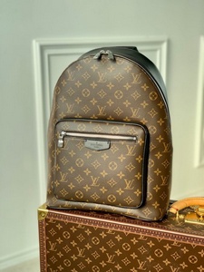 LV Handbags 897